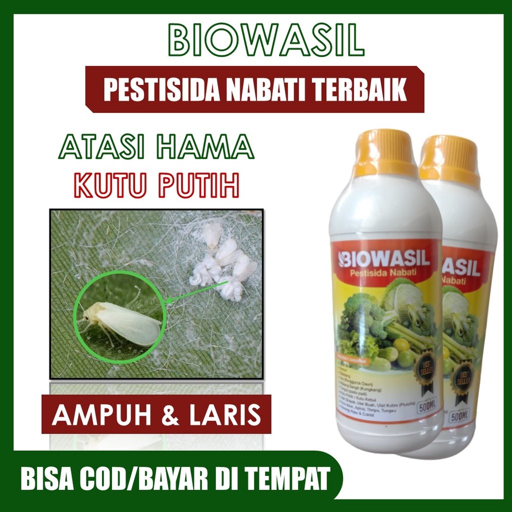 (BISA COD) Pestisida BIOWASIL Atasi Hama Kutu Putih Pada Cabe, Tomat, Kakao, Padi, Jambu dll – Pesti