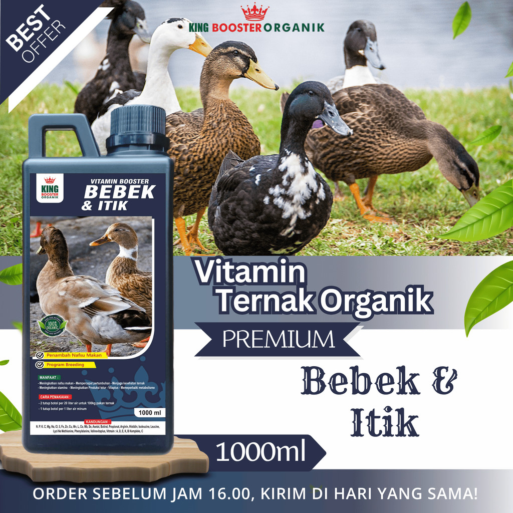 OBAT ANTI STRESS BEBEK ITIK UNGGAS - MENCEGAH & MENGOBATI STRES BEBEK - TAMBAH NAFSU MAKAN 1 liter