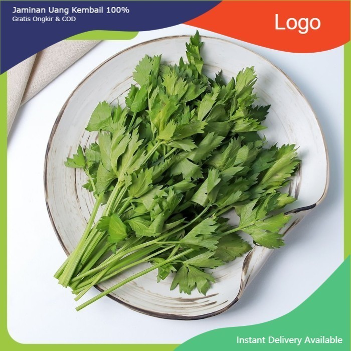 

LBJ Daun Seledri 500 Gram Fresh