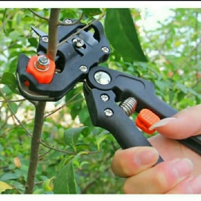 

Gunting Grafting Okulasi Stek Sambungan Tanaman Kebun Tool Pruning.