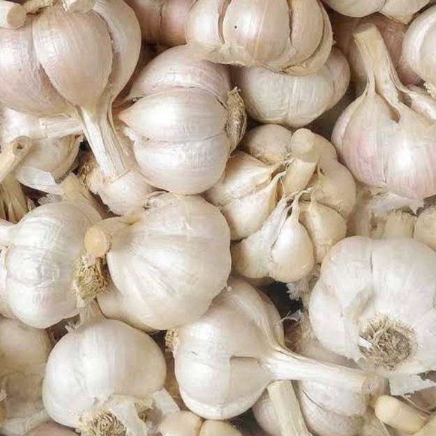 

Bawang Putih Pack - Berat 250Gram - 1/4 kg
