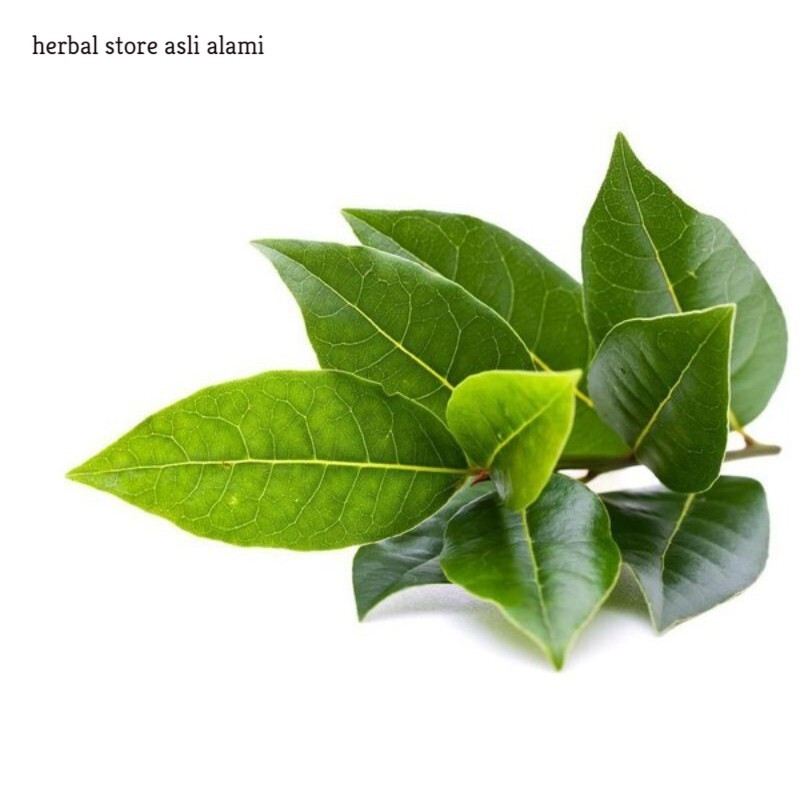 

herbal daun alpukat/daun avucado segar per lbr