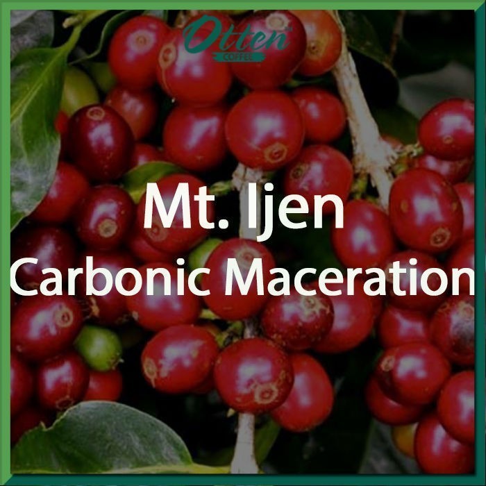 

Green Bean MtIjen Carbonic Maceration Natural Process 1Kg