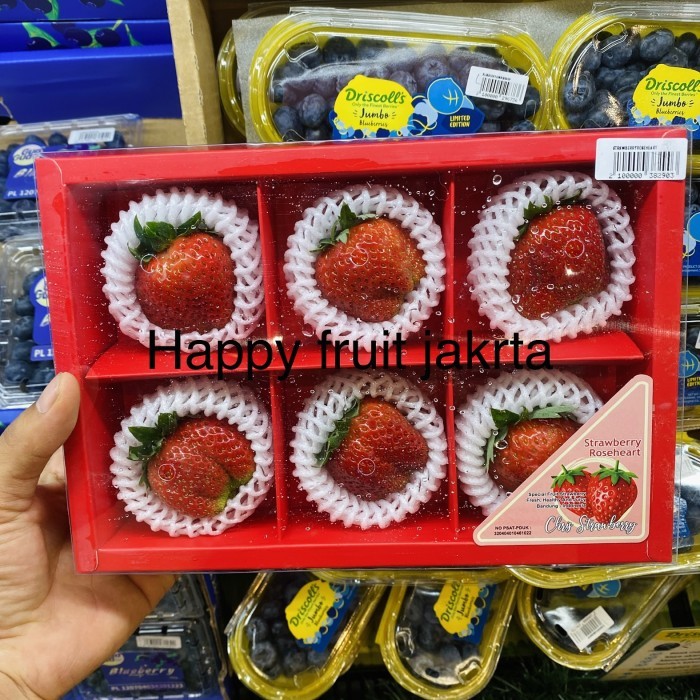 

Buah Strawberry jumbo rose heat super fresh pack