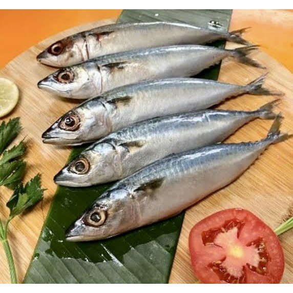 

Ikan Salem 450-500gr