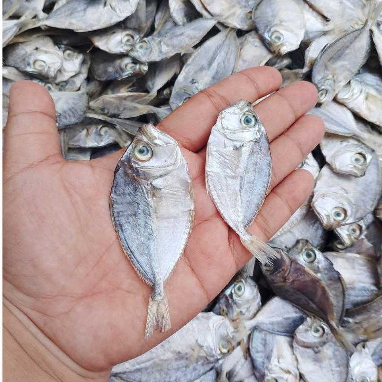 

PREMIUM Ikan asin petek / ikan asin pirik / ikan dodok kering