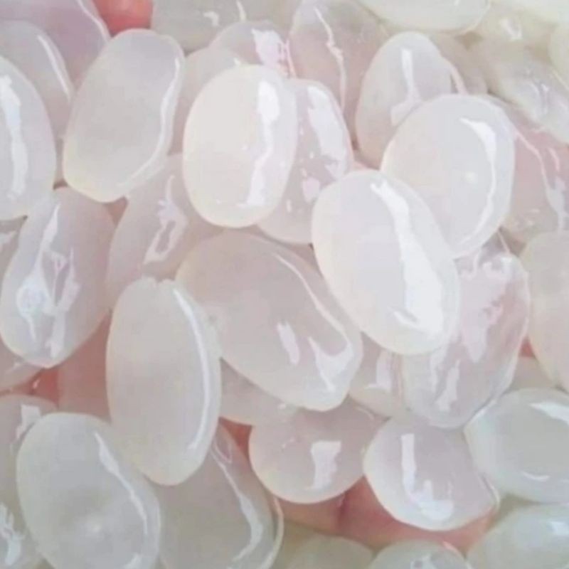 

Cod Biji Kolang Kaling 500gram Super Kenyal Asli 100% Fresh Tanpa Pengawet '