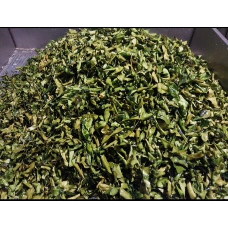 

PROMO TERLARIS DAUN JERUK PURUT GORENG UTUH 100 GRAM / KAFFIR LIME LEAVES