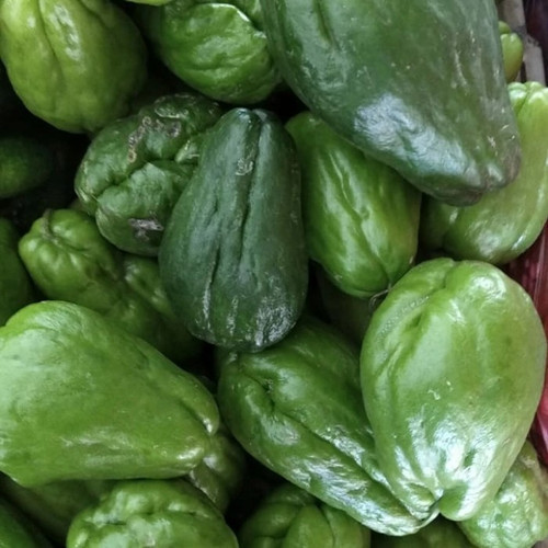 

Labu Jipang Kecil 250gr | Sayur Segar Medan