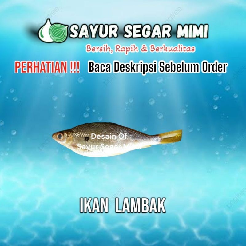 

Ikan Lambak 500Gram - Sayur Palembang