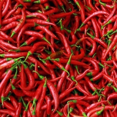

CABE MERAH BESAR 250gr / SAYURAN SEGAR - 100 gram