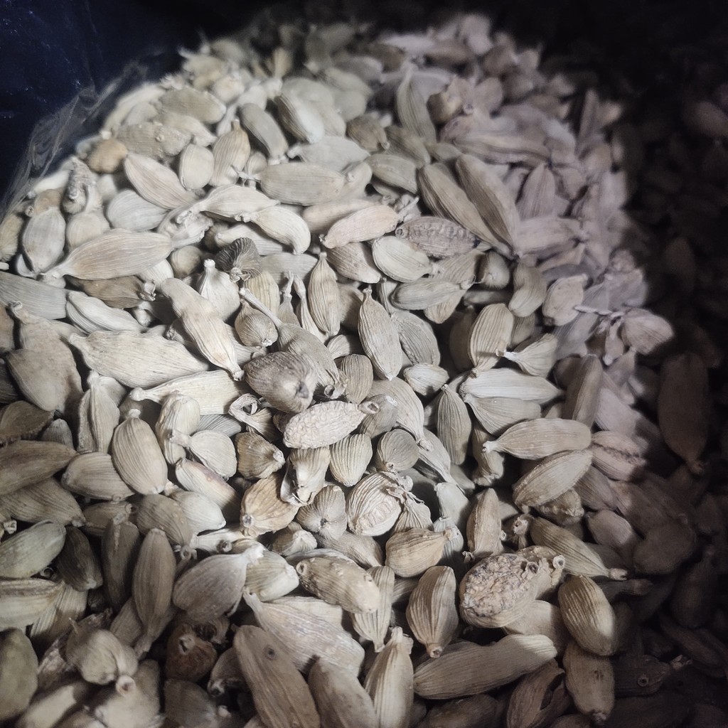 

ASBA KAPULAGA 2P 500GR