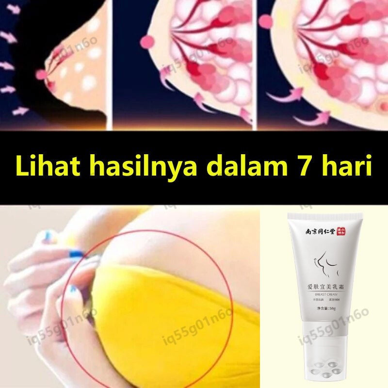 Premium Breast Cream / Pembesar Payudara & Pengencang Payudara Bust Cream Boobs Krim / 100% Ori