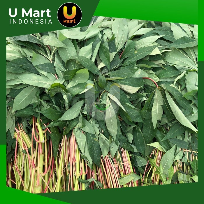 

U Mart - Daun Singkong Segar 1 Ikat