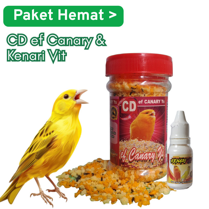 [Paket Hemat] Kenari Roll CD Canary dan Kenari Vit Sehat dan Gacor 100% Original