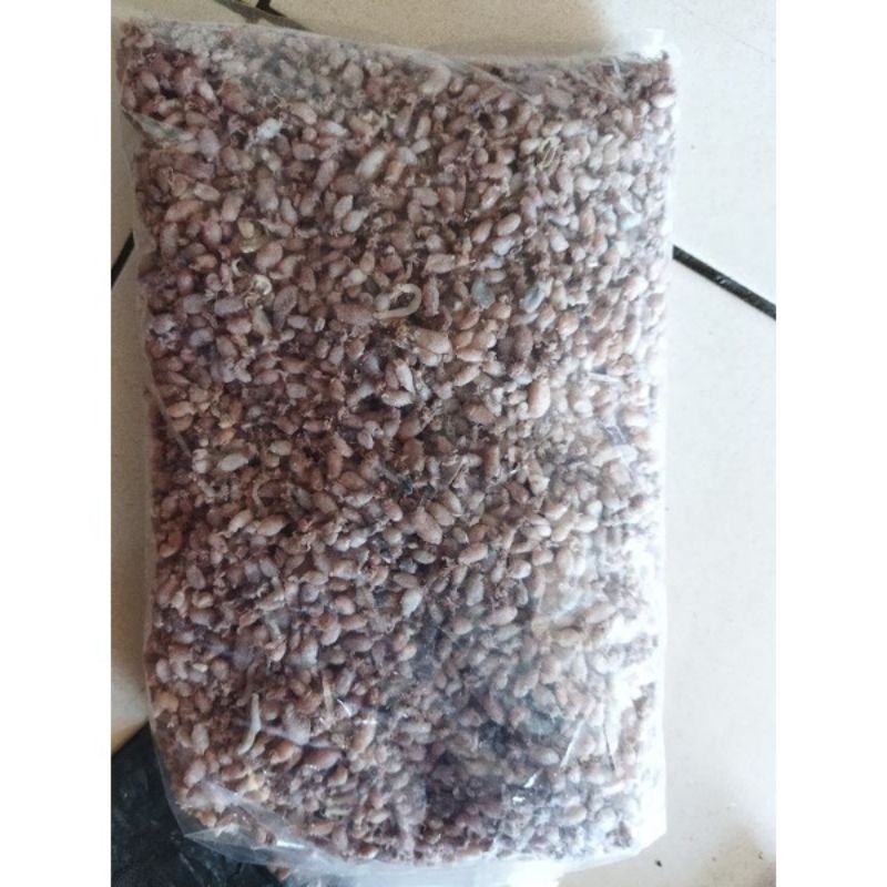 

TermurahBaby Cumi SUPER PREMIUM 1kgnew