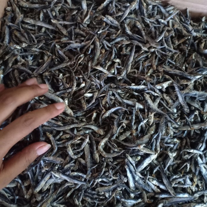 

TermurahCOD ikan asin teri batu/ teri hitam/ teri karang /ikan asin teri batu super 1kgnew