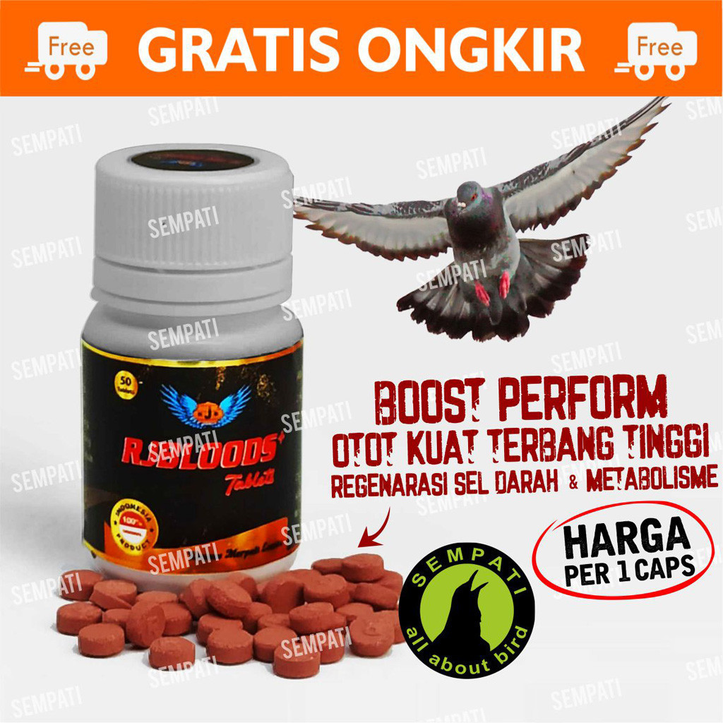 SEMPATI Rjbloods Rjb Bloods Blud Blood Merpati Vitamin Merpati Balap Kolong Pos Penambah Sel Darah M
