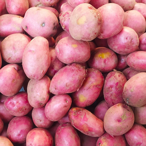 

Kentang Merah Brastagi 500gr
