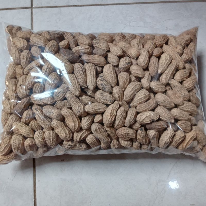 

Kacang Kulit Sangrai Enak 1Kg