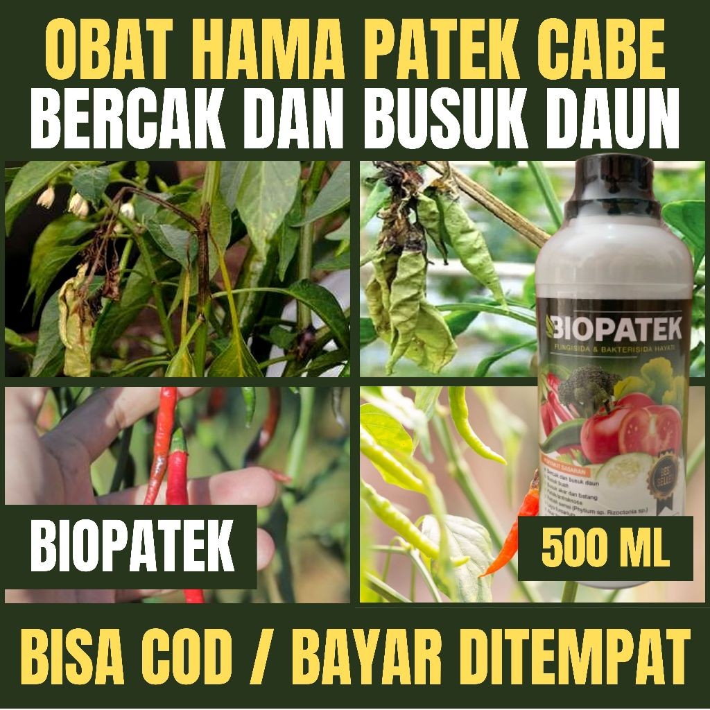 Obat Bercak Busuk daun, Busuk Buah dan Batang Pada Tanaman Cabe BIOPATEK isi 500 ML 100% ORIGINAL