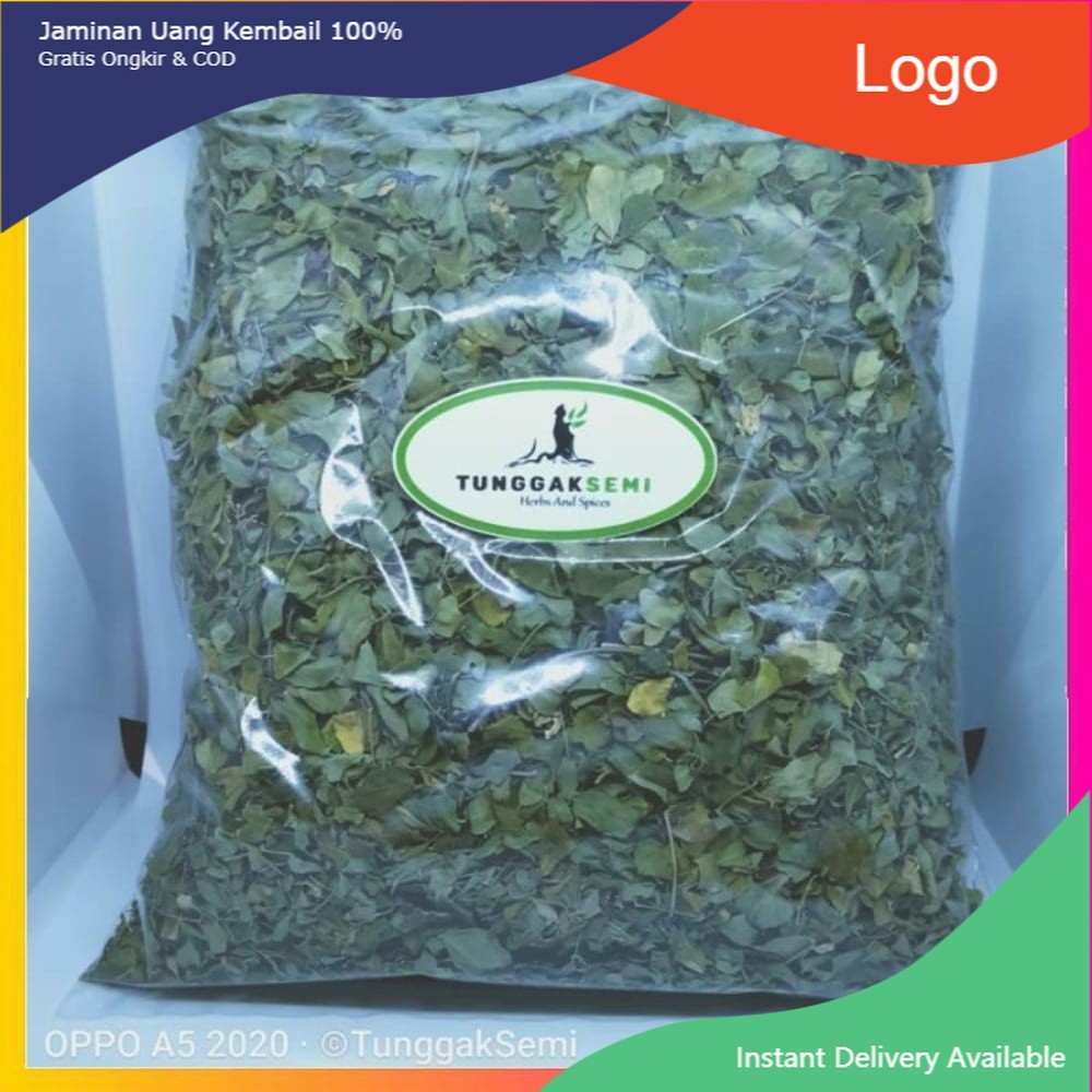 

Original [ 500G ] Daun Kelor Kering Teh Daun Kelor Kwalitas Premium