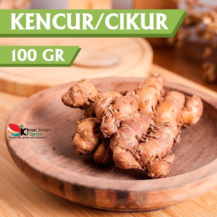 

Inagreen Farm Bandung Kencur / cikur 100 Gram