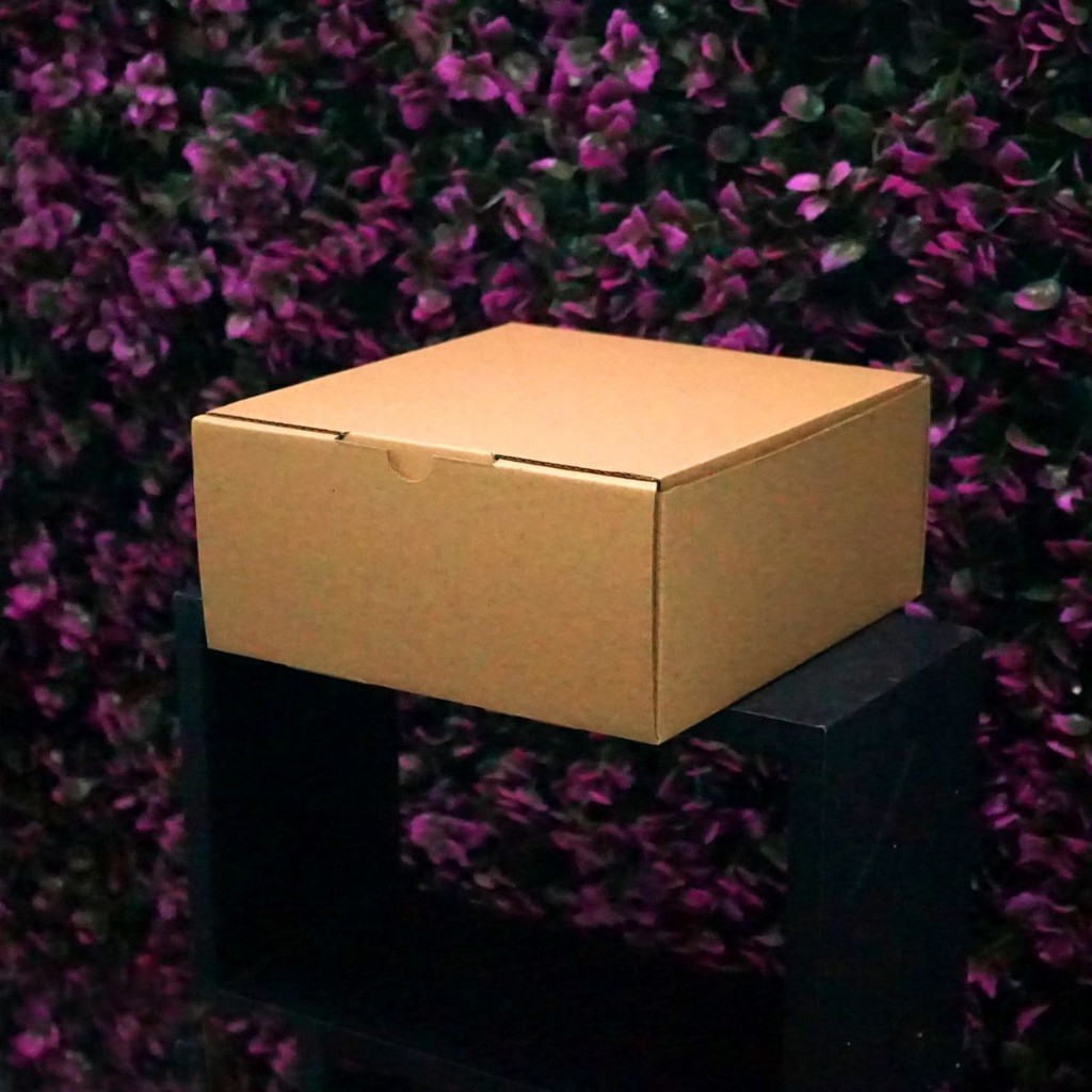 

Kotak Packaging Polos Tinggi 18 x 18 x 8 cm - Pizza Box - Bentuk Kotak Arse Digital Technology