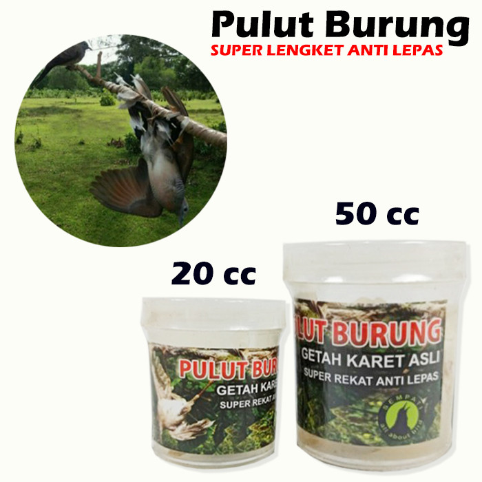 PULUT BURUNG 20 JEBAKAN BURUNG LEM BURUNG GETAH BENDO GETAH KARET JEBAK BURUNG LEM PERANGKAP BURUNG