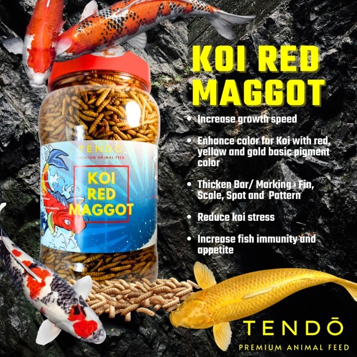 Maggot BSF Plus Maggot Kering Pakan Makanan Ikan Koi Tendo - Koi Red Maggot