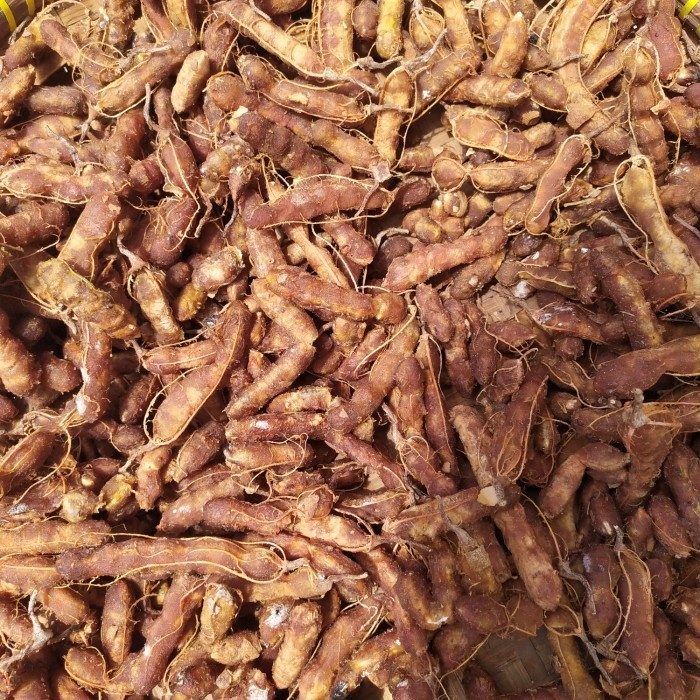 

Buah Asam Jawa Fresh Sudah Dikupas Kulitnya 250 Gram