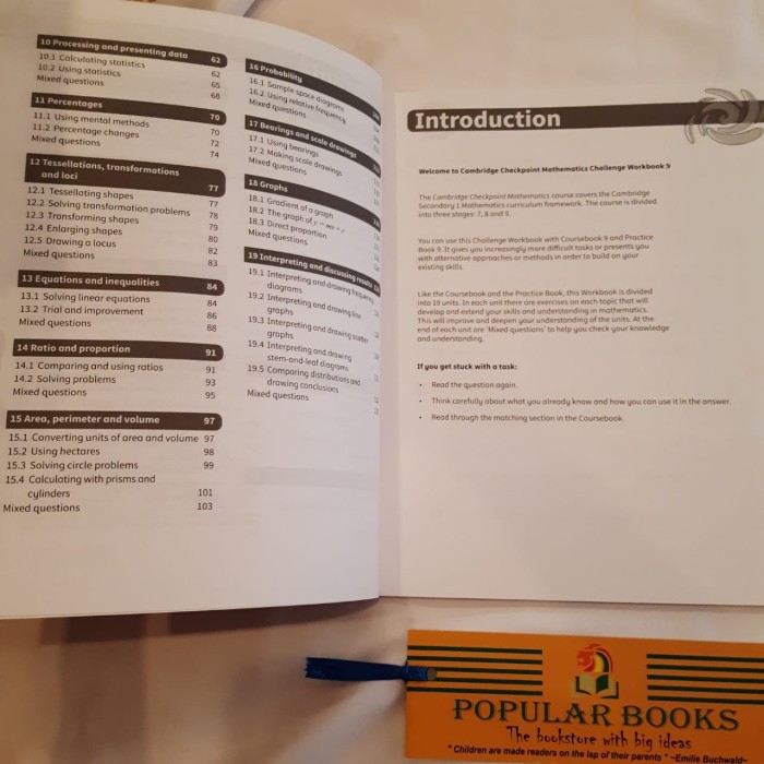 

Cambridge Checkpoint Mathematics Challenge Grade 9