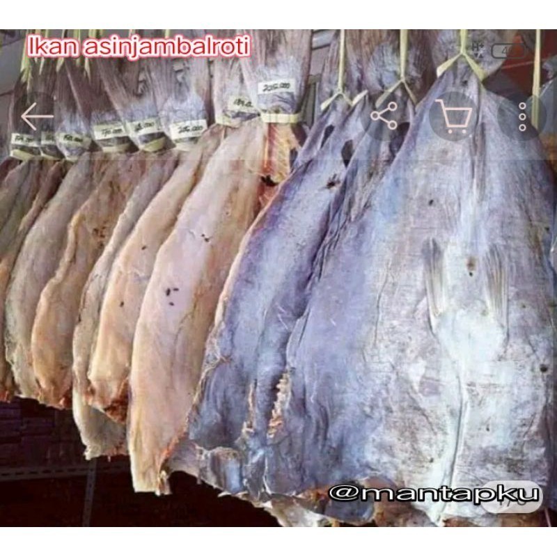 

selalu Promo Ikan Asin Jambal Roti asli khas pangandaran