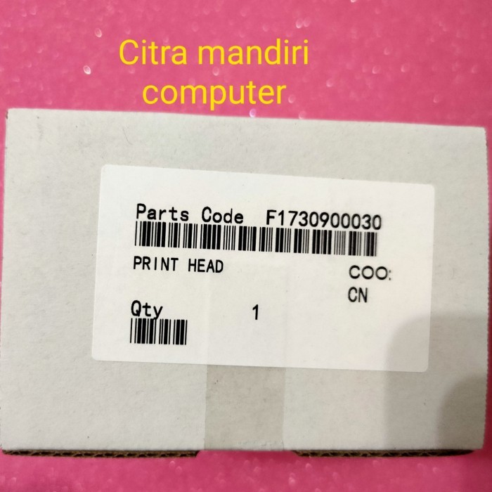 Print Head Epson L1800 1390