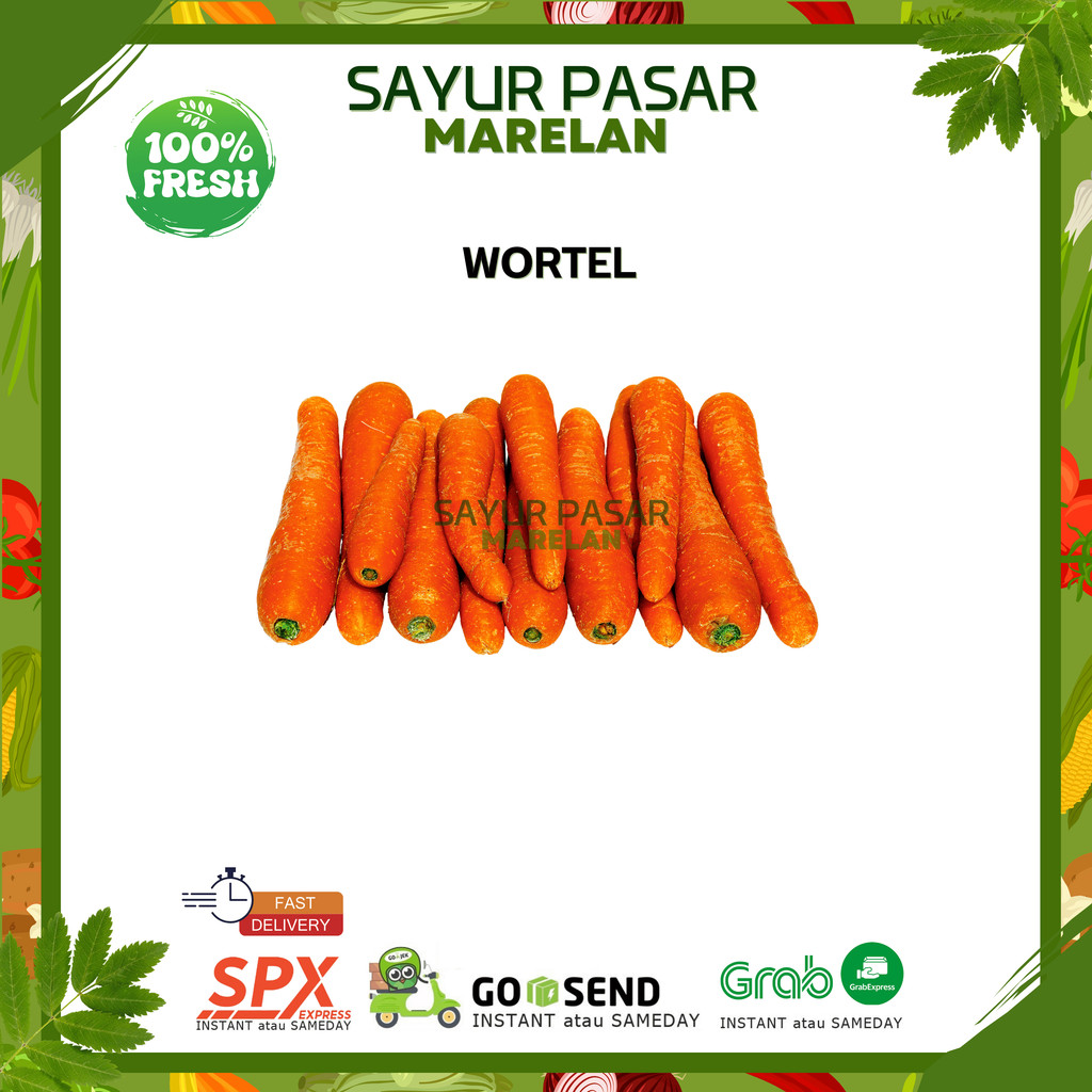 

WORTEL SEGAR TIDAK BERTANGKAI / WORTEL BOTAK - 250gr 500gr 1kg