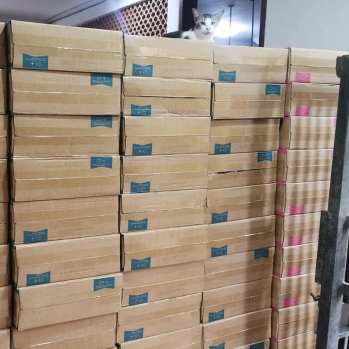 Makanan Kucing Life cat kaleng 1 dus Life cat dus 1 box Life Cat dus - Salmon Kitten