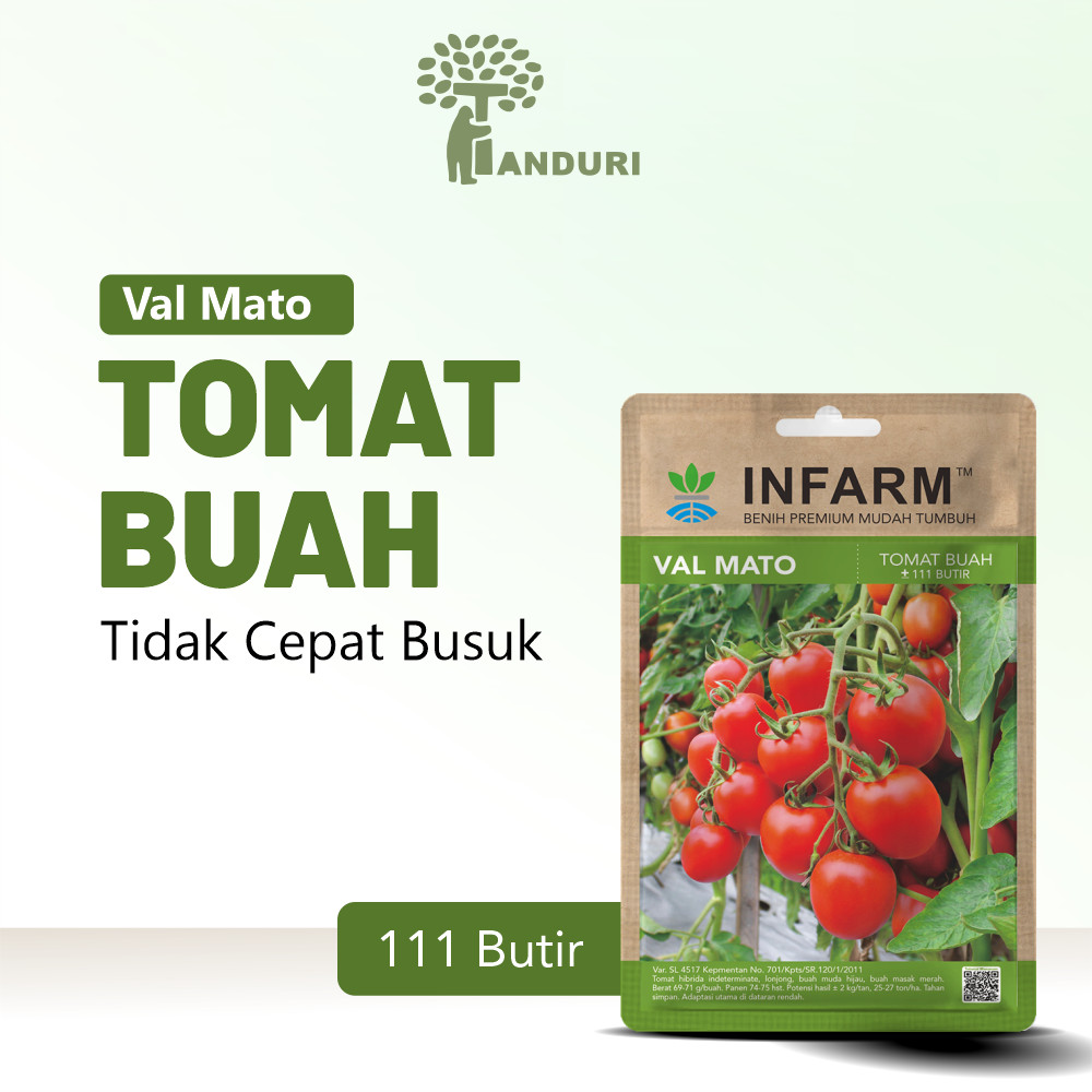 TANDURI- Benih Buah Tomat Valmato Bibit Buah Tomat Manis Biji Tomat Buah Valmato Tomat Buah Manis Pr