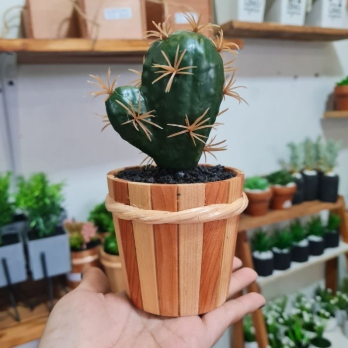 Kaktus Koboi Artificial Mini Pot Kayu
