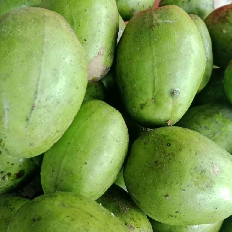 

Buah kedondong Bangkok jumbo fresh segar 500g