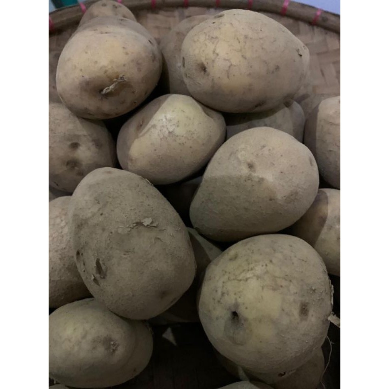 

kentang dieng Segar Murah 250gr
