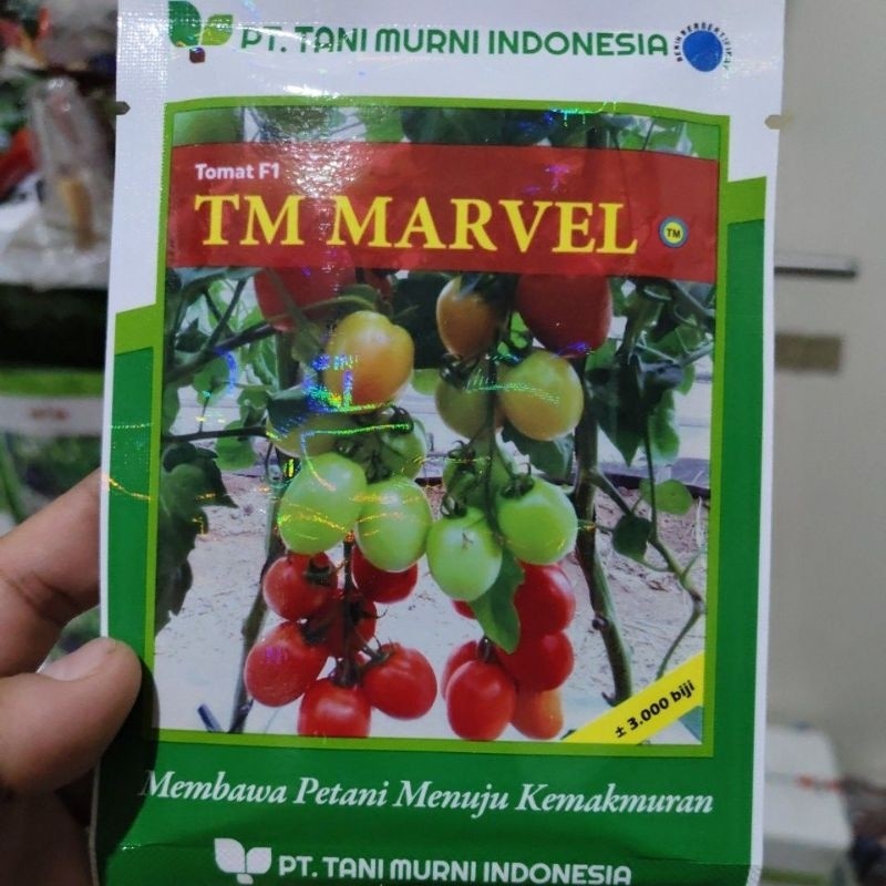Benih tomat TM Marvel f1 10 gram bibit tomat hibrida produksi Tani Murni