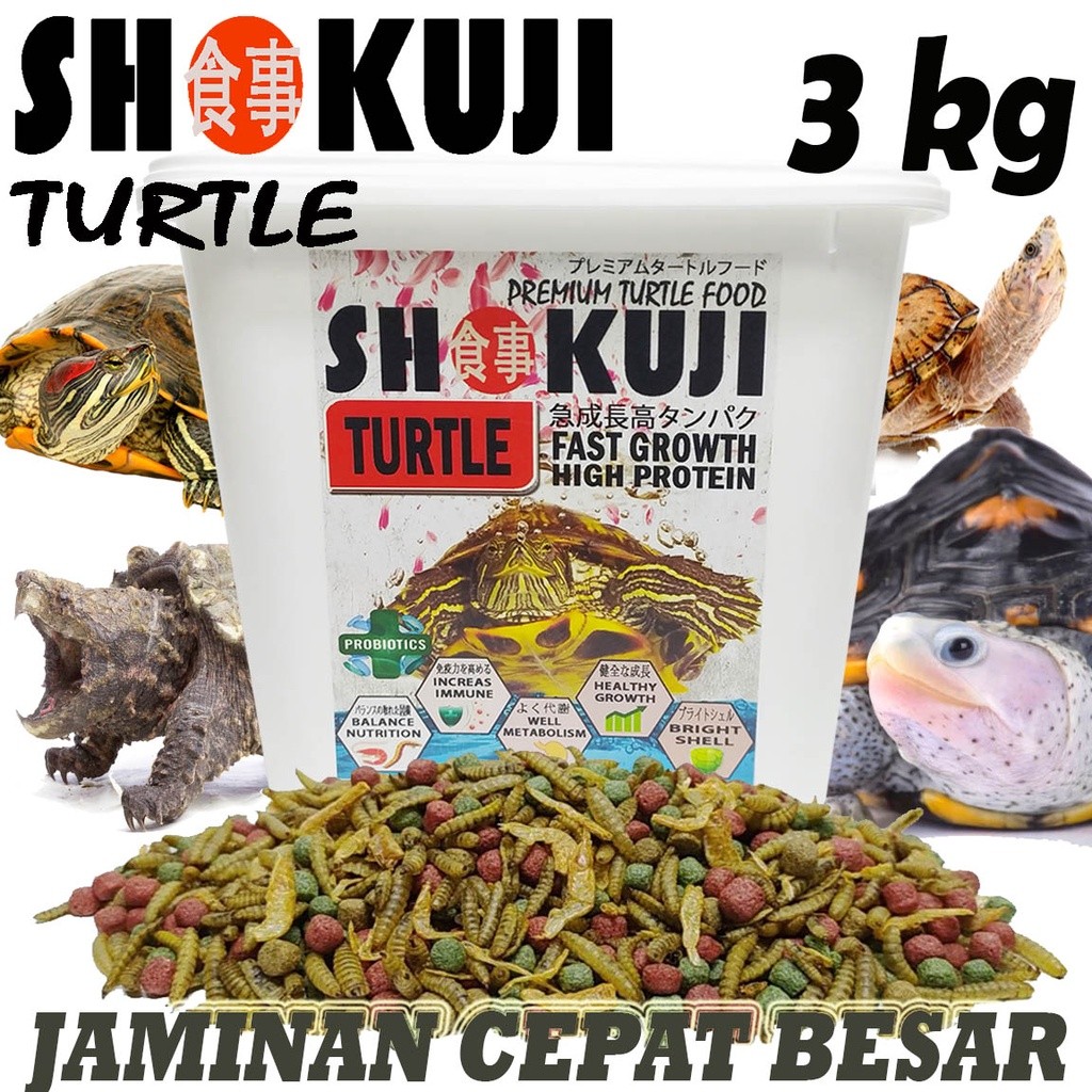 3KG SHOKUJI PELET BRAZIL RES RAZORBACK MAKANAN KURAKURA AIR BRASIL DAMER CST PAKAN PREMIUM TURTLE FO