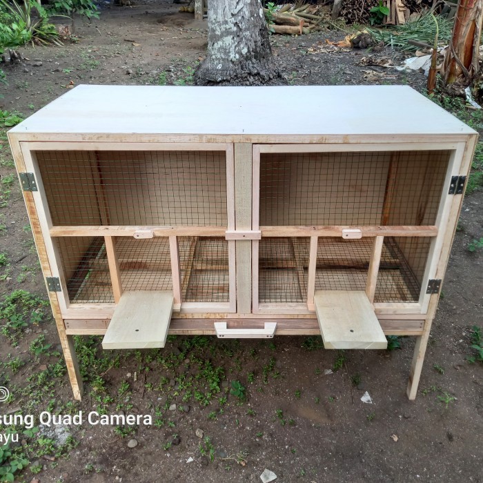 kandang burung merpati 2 pintu