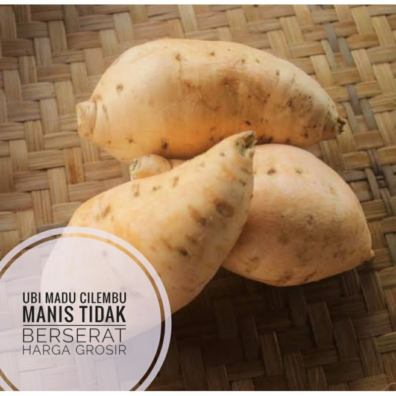 

UD BUAH 3 SAUDARA UBI MADU CILEMBU 1KG