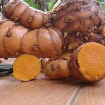 

Temu lawak segar 1 kg - temulawak fresh (Aqis Organik)