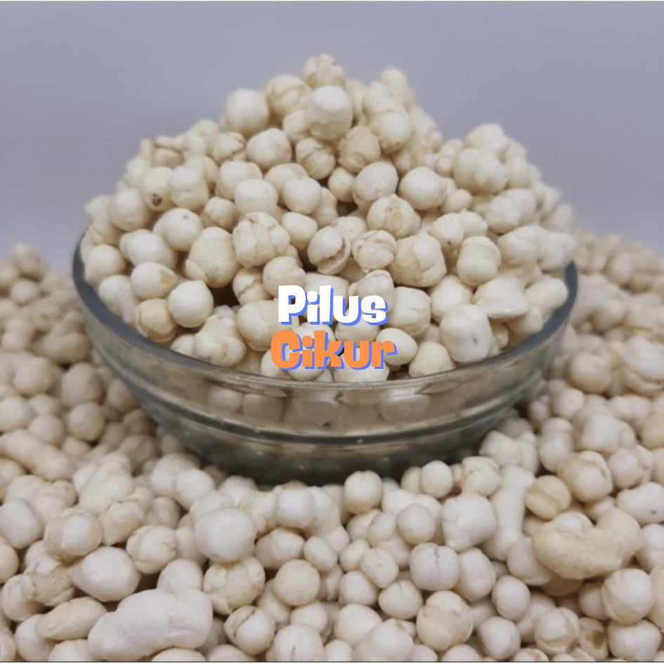 

Murah cikur kencur cikur pilus cikur 1kg cikur seblak