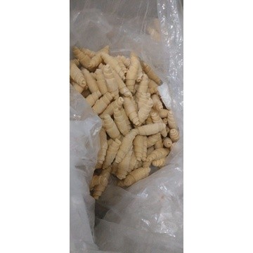 

BONPATIS Croissant Frozen Dough Croffle KARTON - FULL BUTTER-