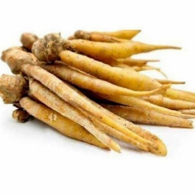 

Temu kunci segar murah 1 kg dicuci bersih ready