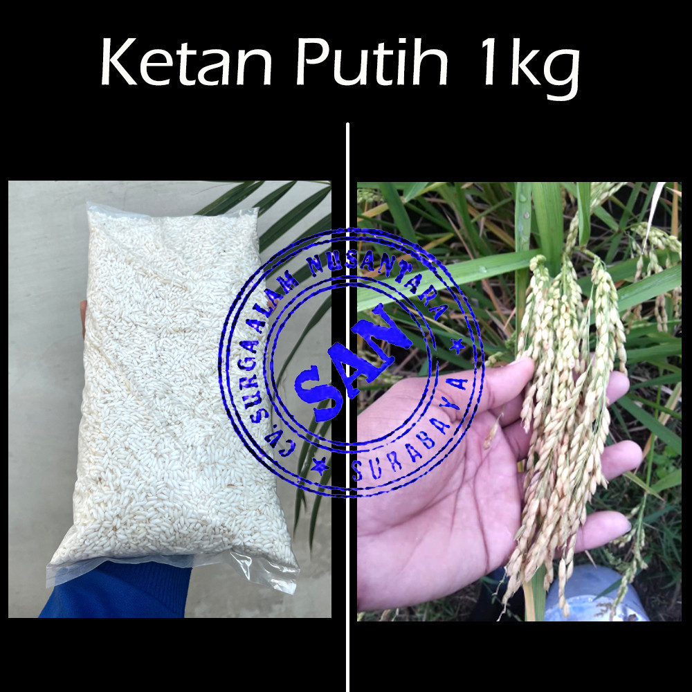 

Beras Ketan Putih 1kg