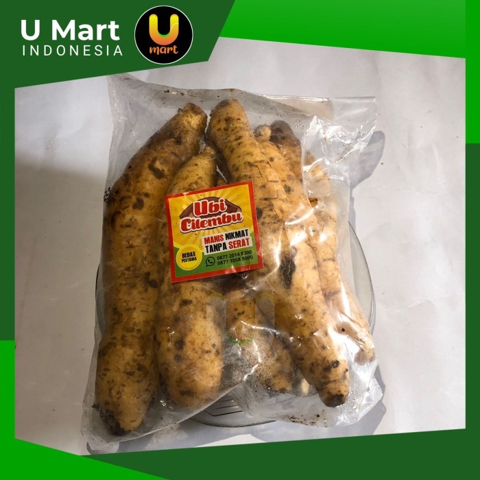 

U Mart - Ubi Cilembu Mentah 1 Pack (± 1 kg)